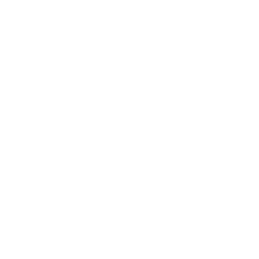 Leading Customer Services